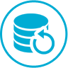 Backup Icon